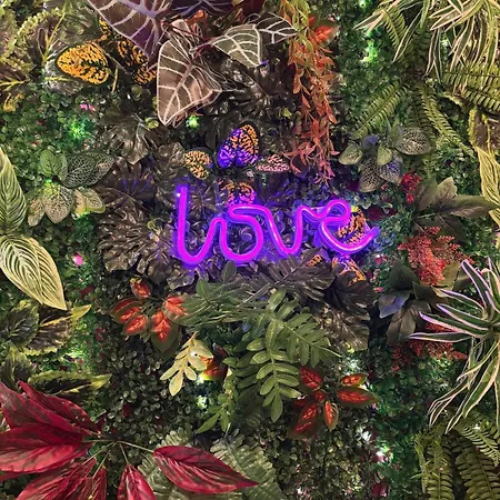 La Grotte Fleurie - Classe 5 Etoiles Mussidan