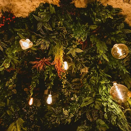 La Grotte Fleurie - Classe 5 Etoiles