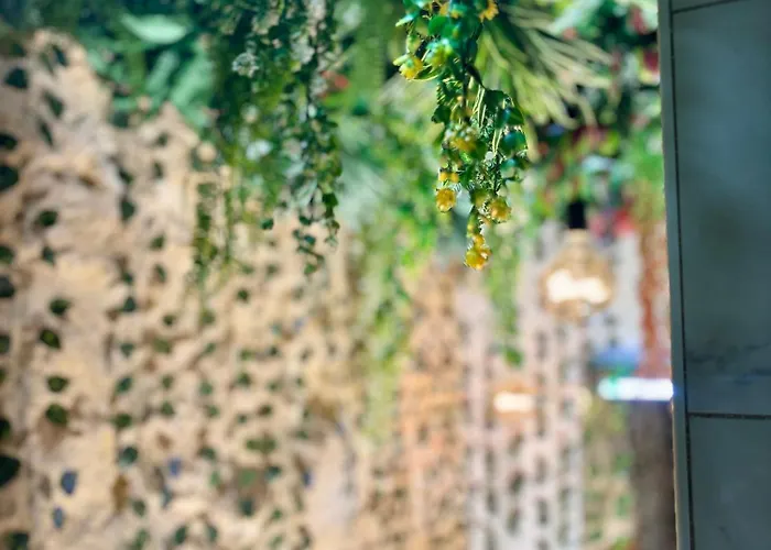 La Grotte Fleurie - Classe 5 Etoiles Mussidan